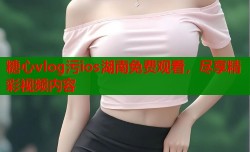 糖心vlog污ios湖南免费观看，尽享精彩视频内容