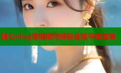 糖心vlog黄旧版污精彩合集平家首发