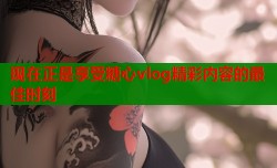 现在正是享受糖心vlog精彩内容的最佳时刻
