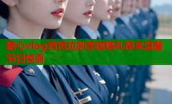 糖心vlog芭芭拉的圣诞赠礼带来温馨节日惊喜